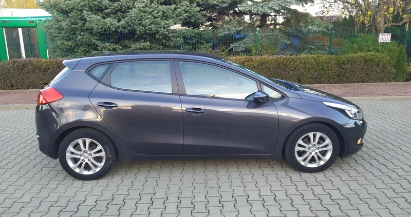 Kia Ceed cena 33700 przebieg: 178500, rok produkcji 2012 z Żyrardów małe 301